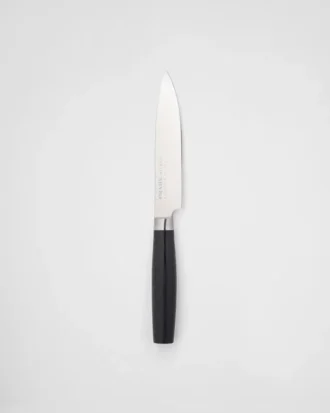 Cuțit de friptură din oțel – Cuțite contemporane